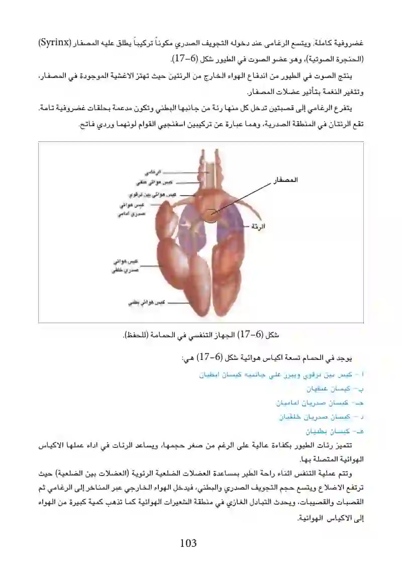 6-3: التكيف للمعيشة في البر