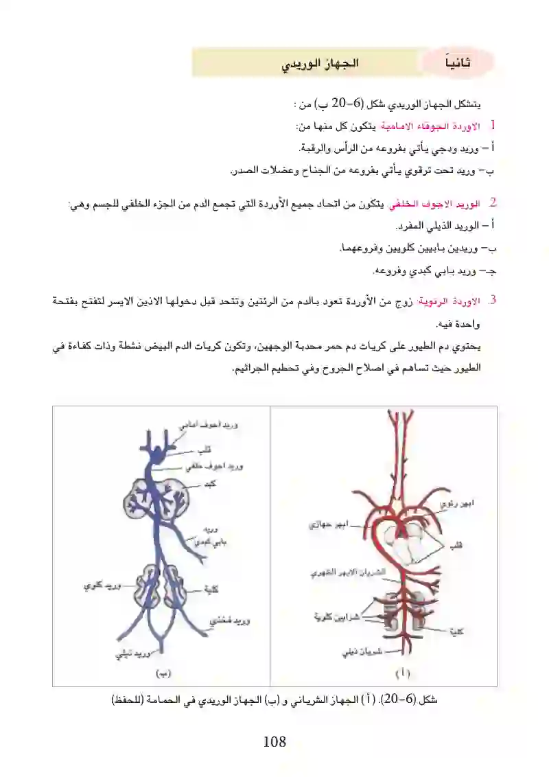 6-3: التكيف للمعيشة في البر