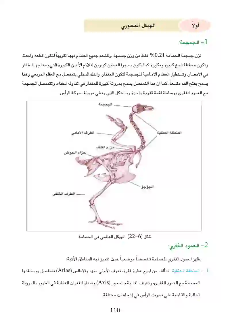 6-3: التكيف للمعيشة في البر