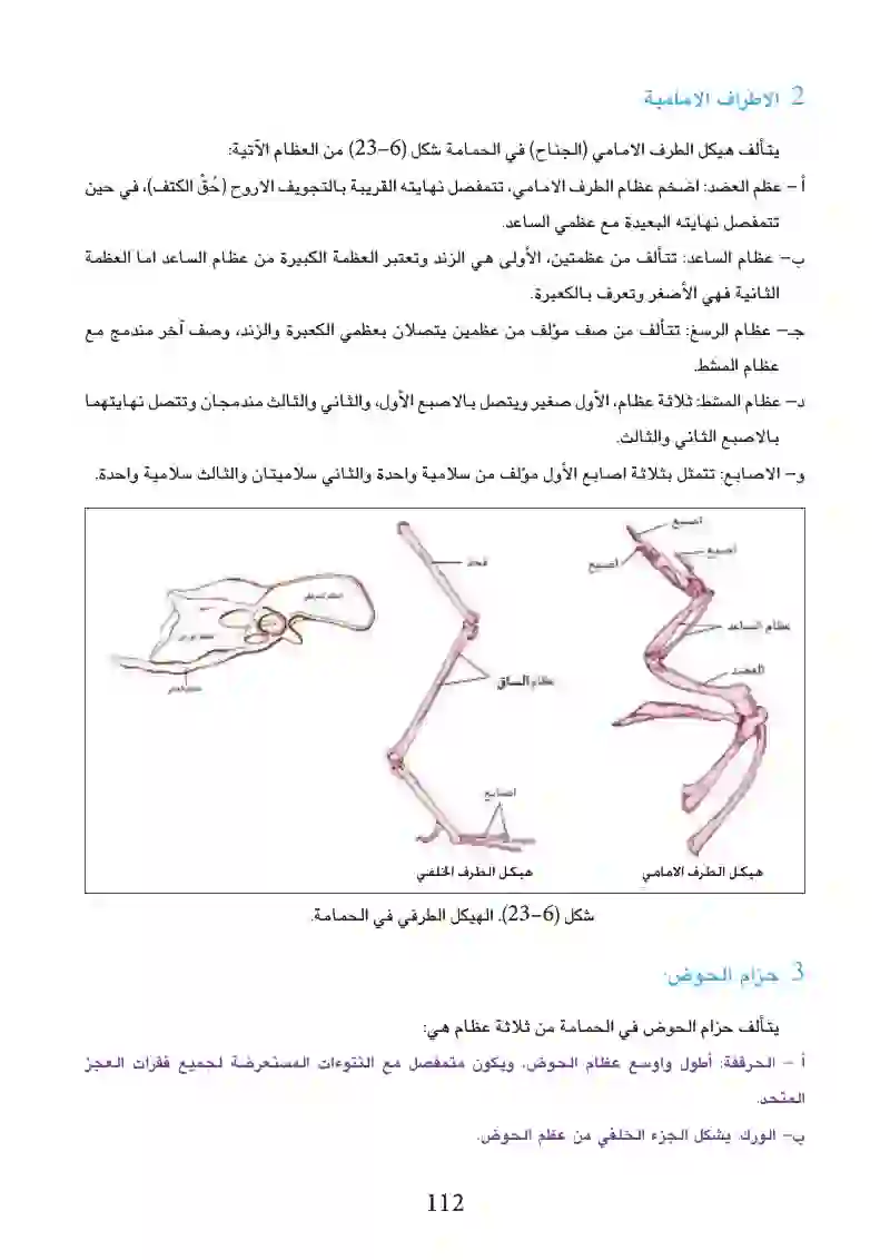 6-3: التكيف للمعيشة في البر