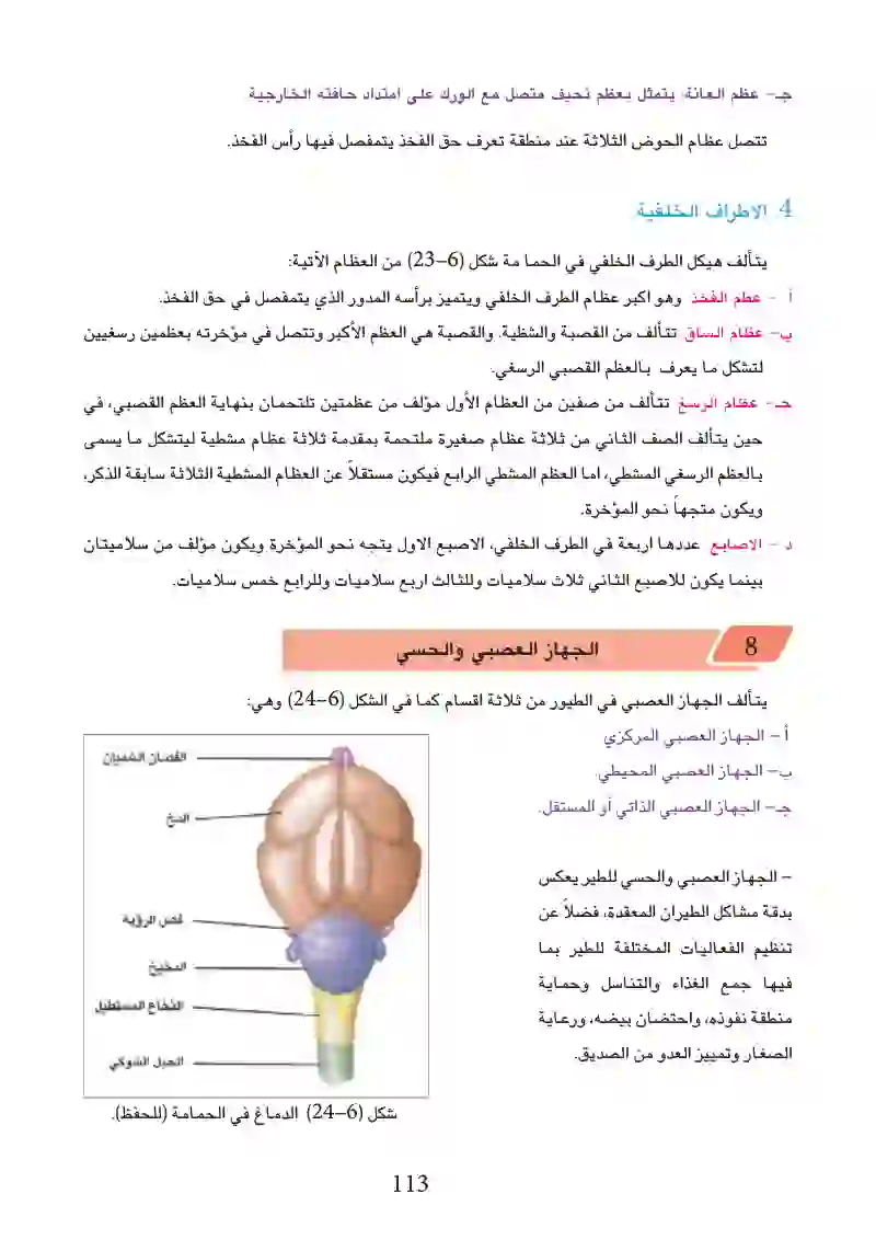 6-3: التكيف للمعيشة في البر