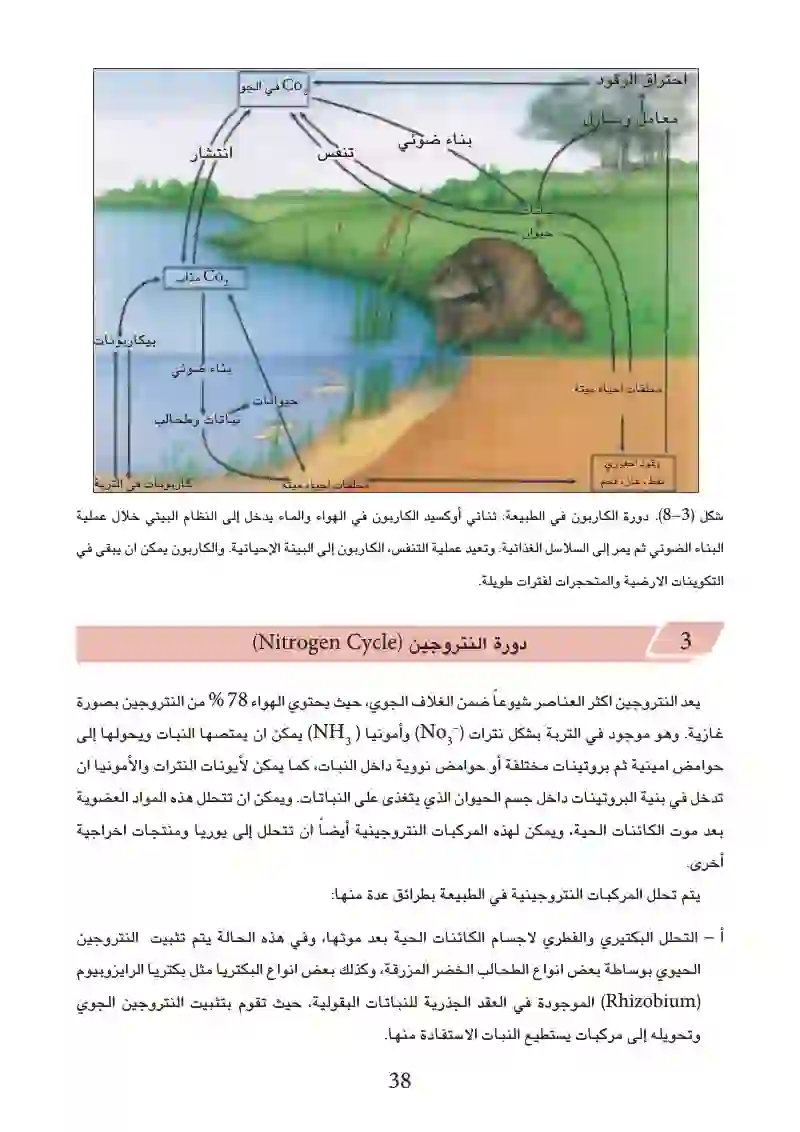 3-4: الدورات الكيميائية الأرضية الأحيائية