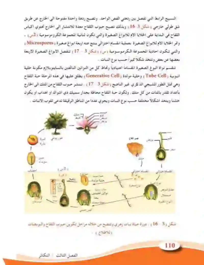 3-8  التكاثر في النباتات