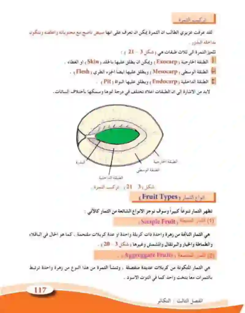 3-8  التكاثر في النباتات