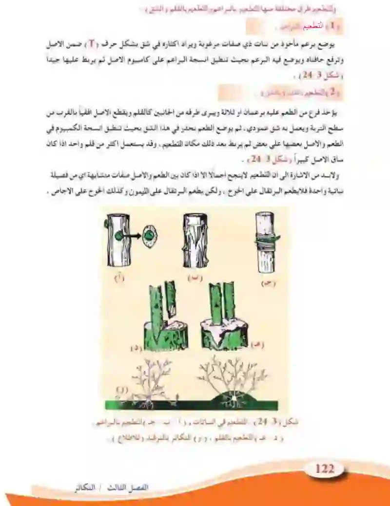 3-8  التكاثر في النباتات