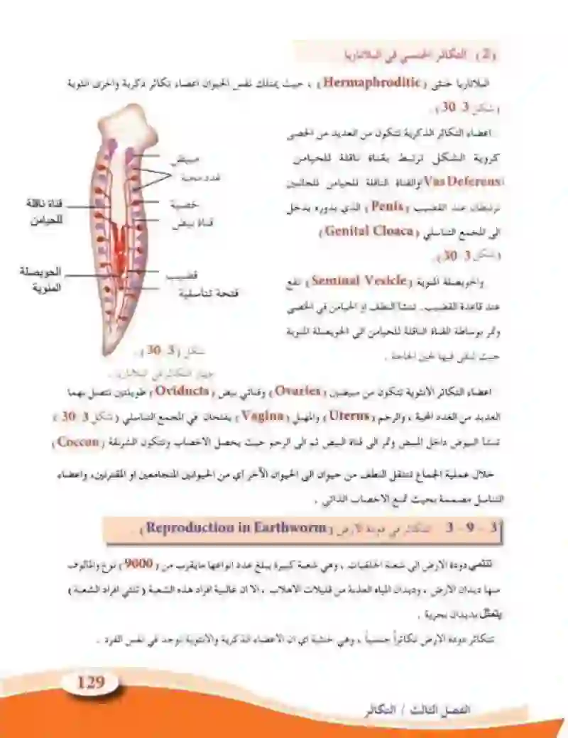 3-9 التكاثر في الحيوانات