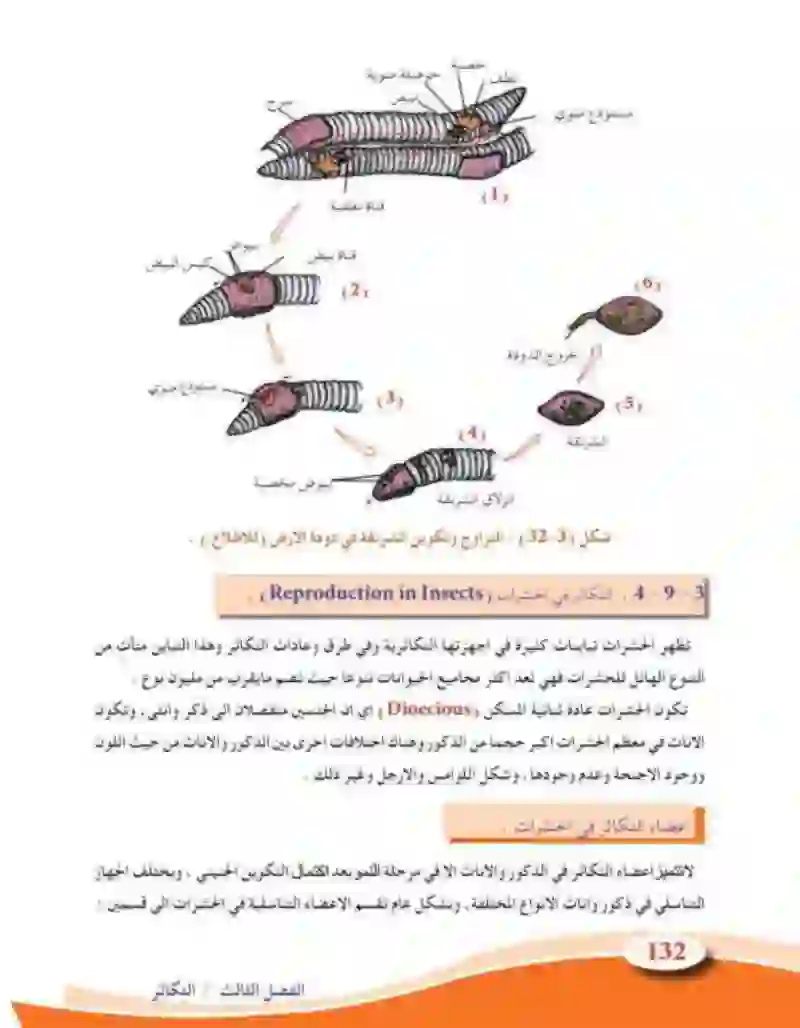 3-9 التكاثر في الحيوانات