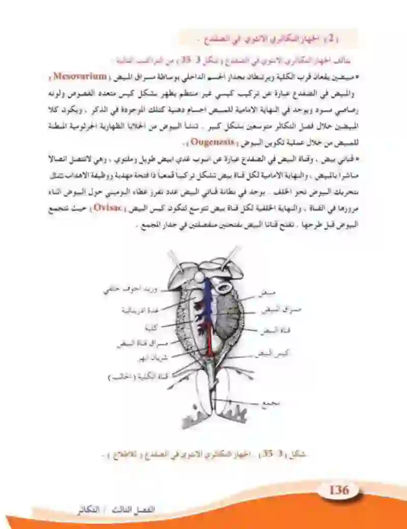 3-9 التكاثر في الحيوانات