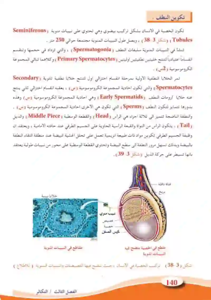 3-9 التكاثر في الحيوانات