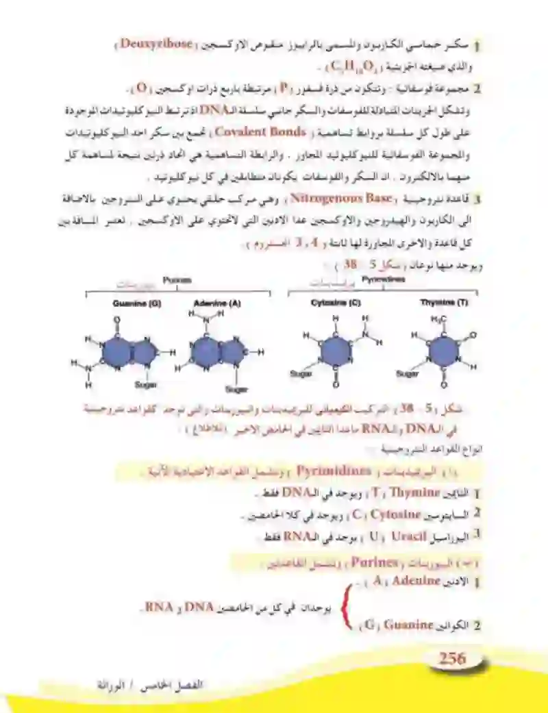 5-5 الأساس الجزيئي للوراثة