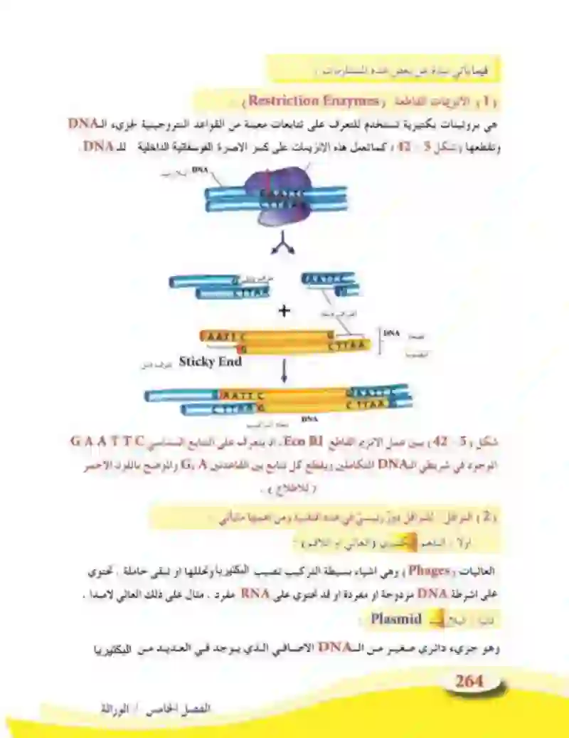 5-5 الأساس الجزيئي للوراثة