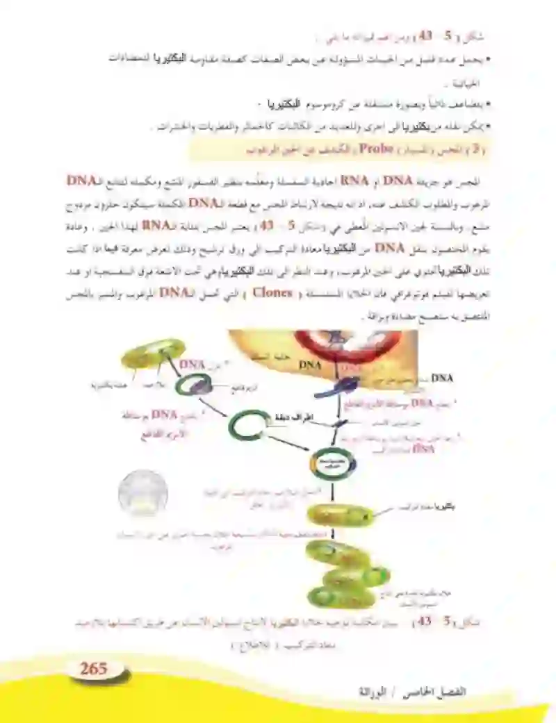 5-5 الأساس الجزيئي للوراثة