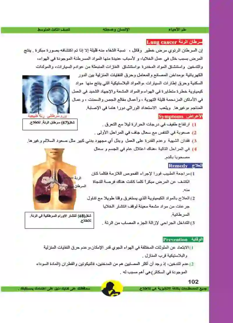 الفصل السادس: الجهاز التنفسي