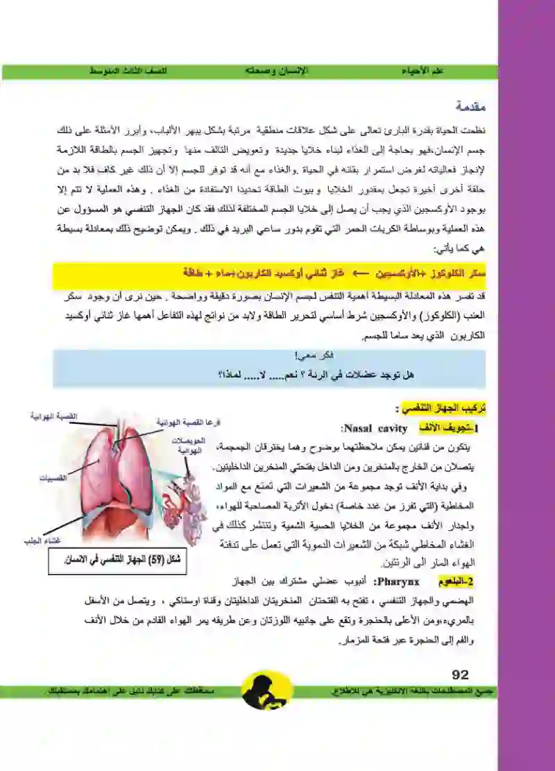 الفصل السادس: الجهاز التنفسي