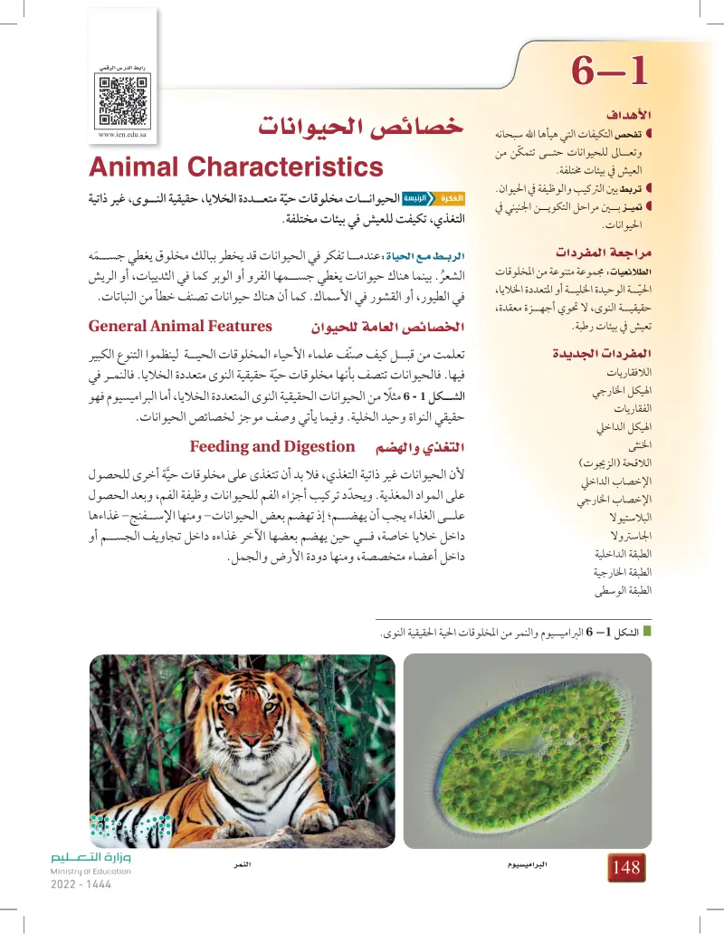 6-1 خصائص الحيوانات