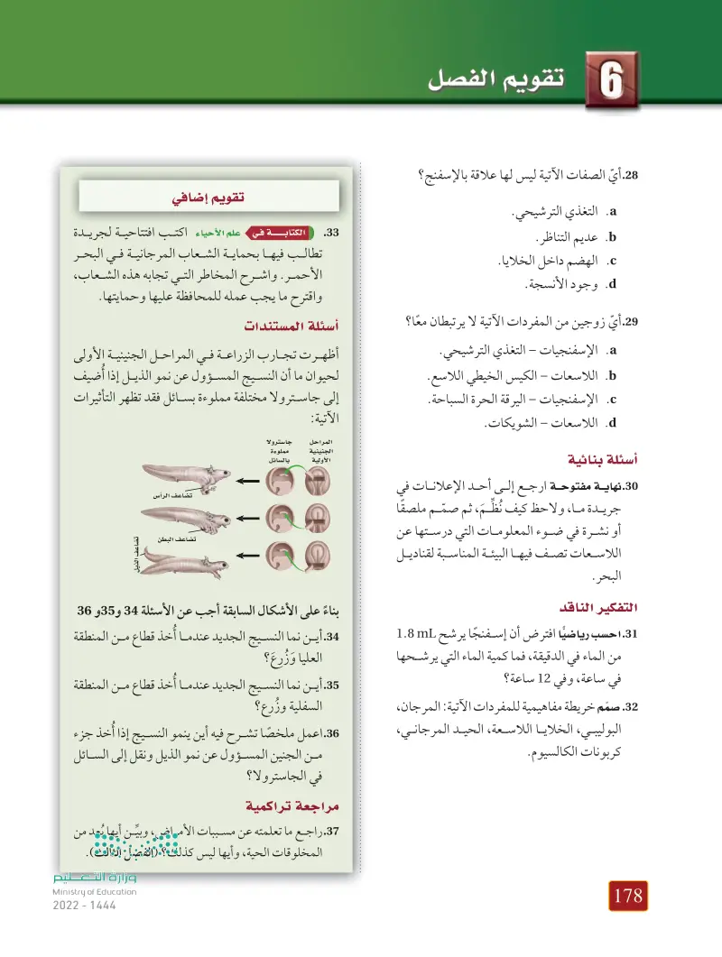 6-3 الإسفنجيات واللاسعات