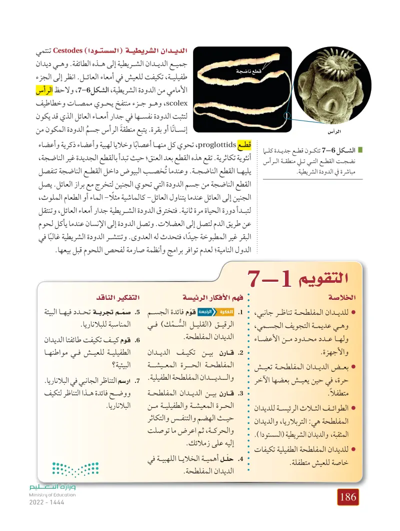 7-1 الديدان المفلطحة