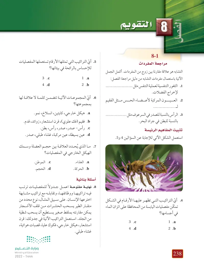 8-3 الحشرات وأشباهها