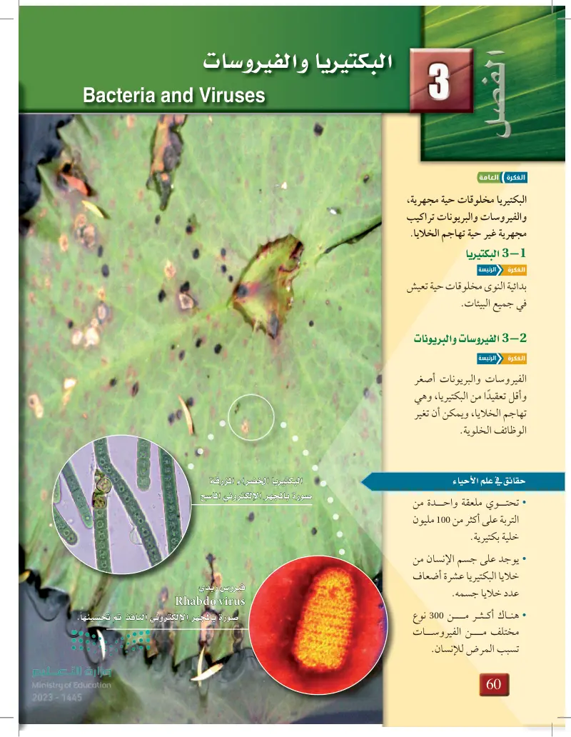 البكتيريا والفيروسات