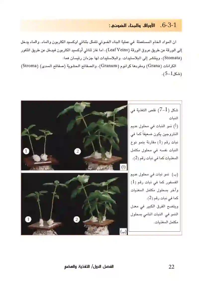 1-3 التغذية في النباتات