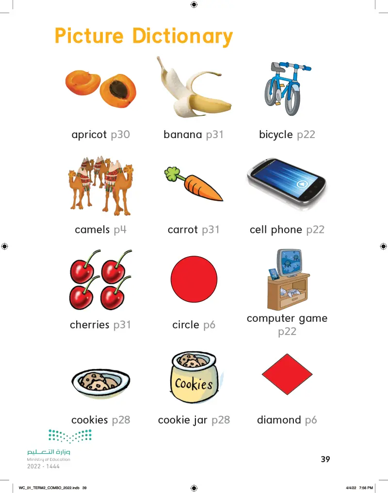 Picture Dictionary