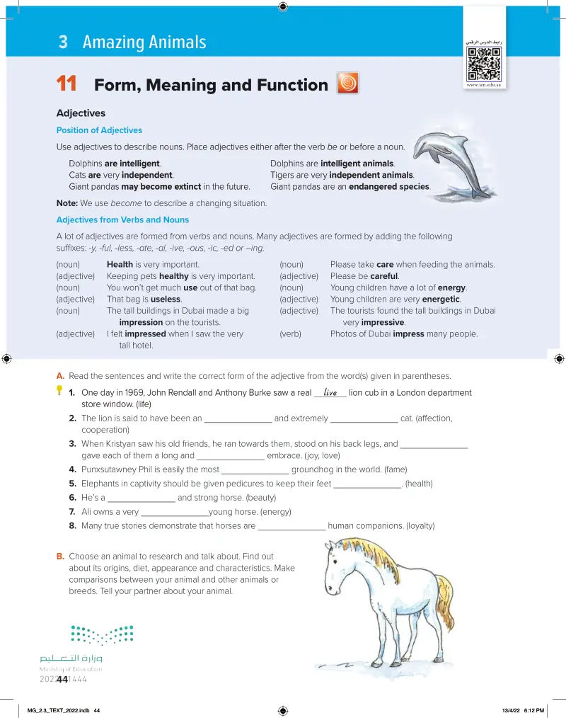 definition-of-form-in-photography-retouchme-blog