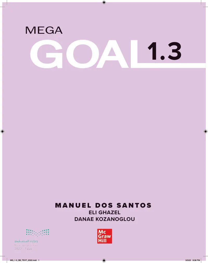 Mega goal 1-3