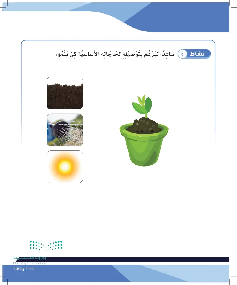الدرس السابع: النباتات وحاجاتها