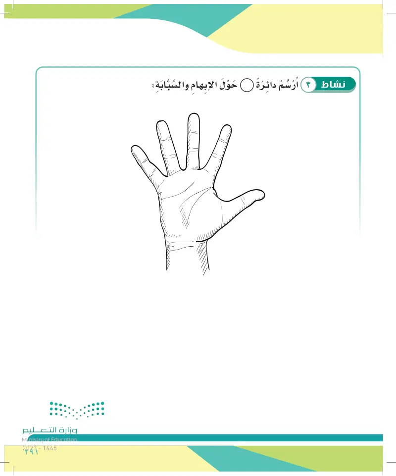 الدرس التاسع عشر: استخدام اليدين في الالتقاط