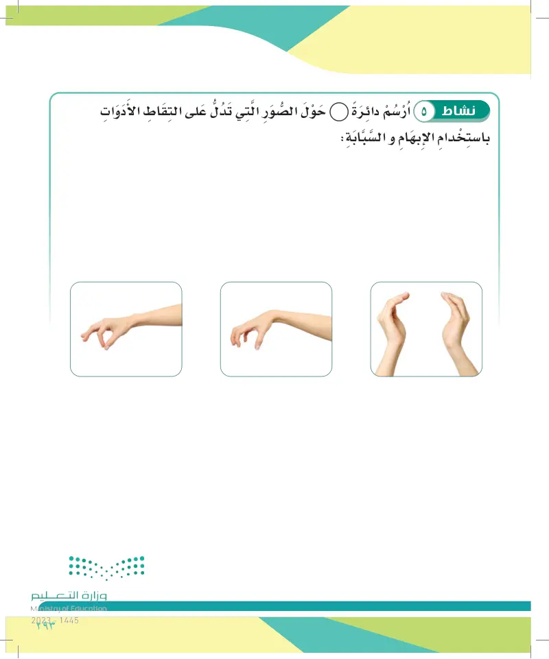 الدرس التاسع عشر: استخدام اليدين في الالتقاط