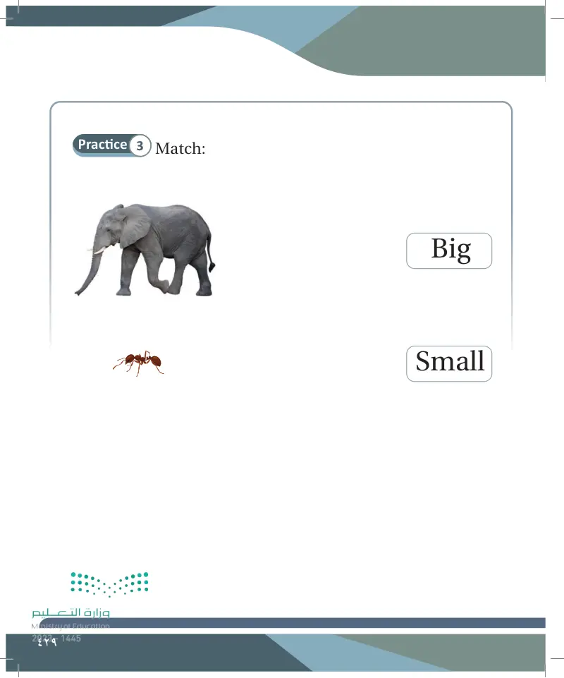 Lesson Five: Adjectives (Big- small)
