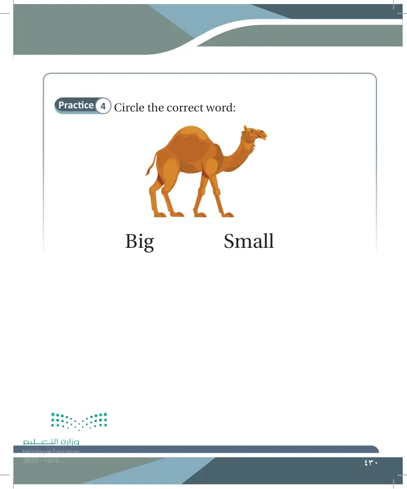 Lesson Five: Adjectives (Big- small)