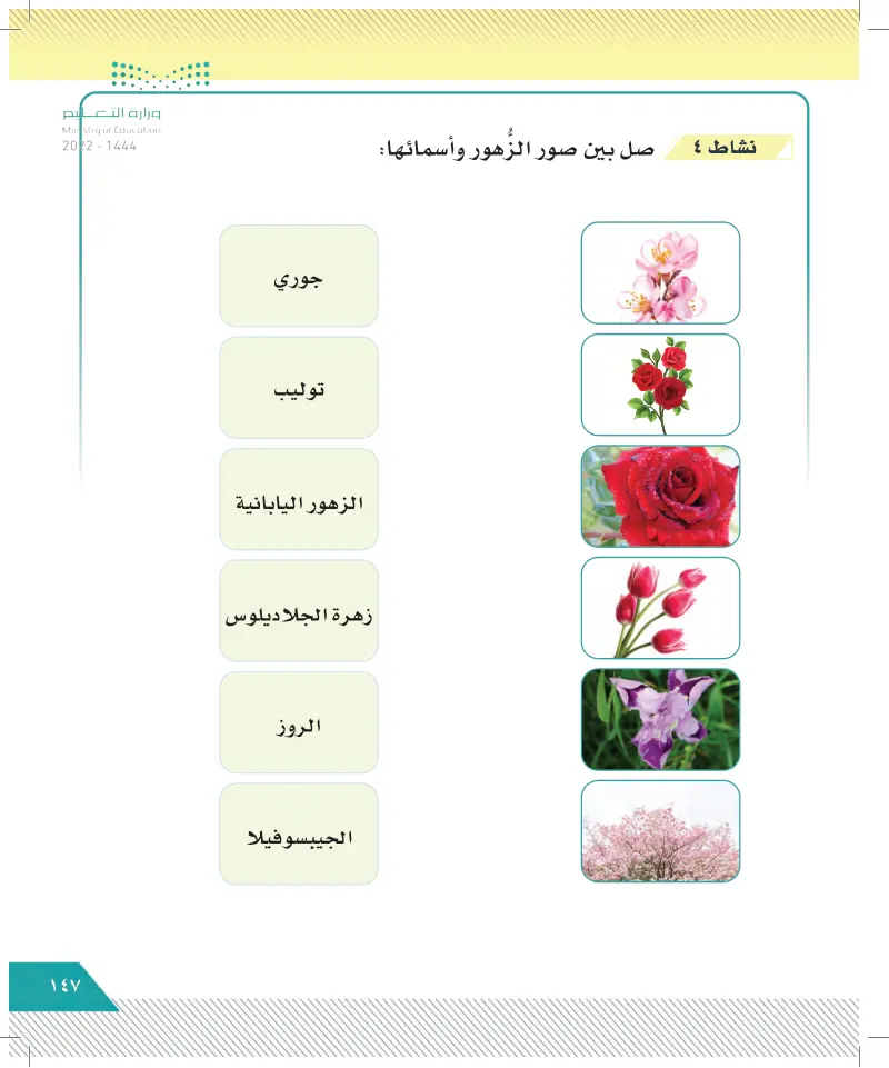 الدرس العاشر: مهنة تنسيق الزهور