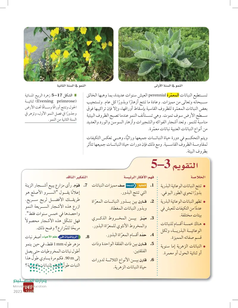 5-3 النباتات الوعائية البذرية