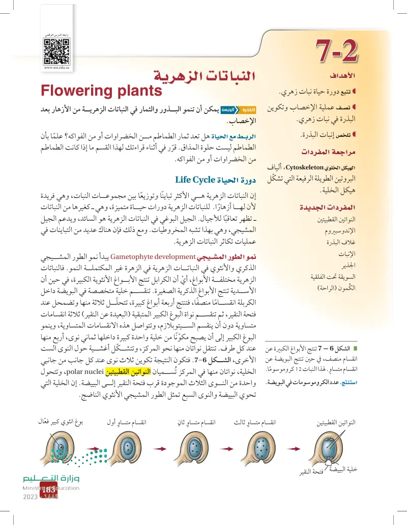 7-2 النباتات الزهرية