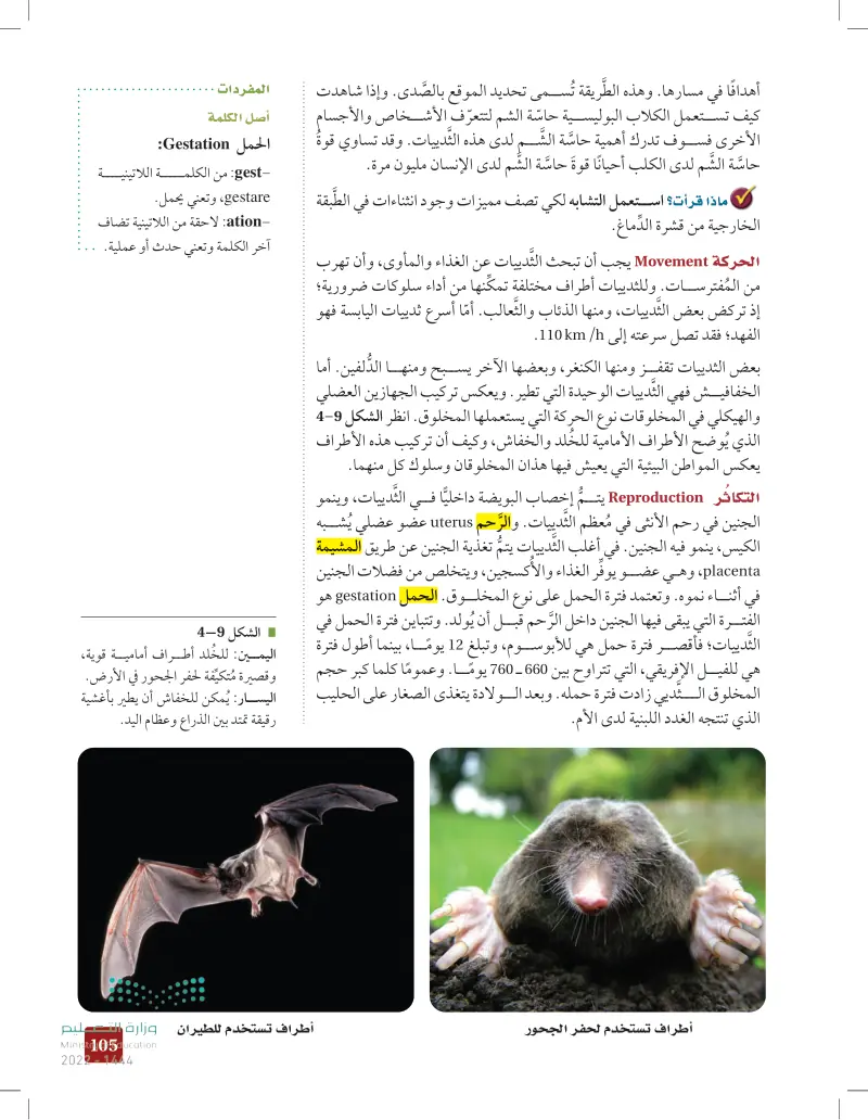 1ـ4 خصائص الثدييات