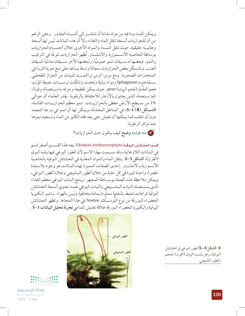 5-1 النباتات اللاوعائية