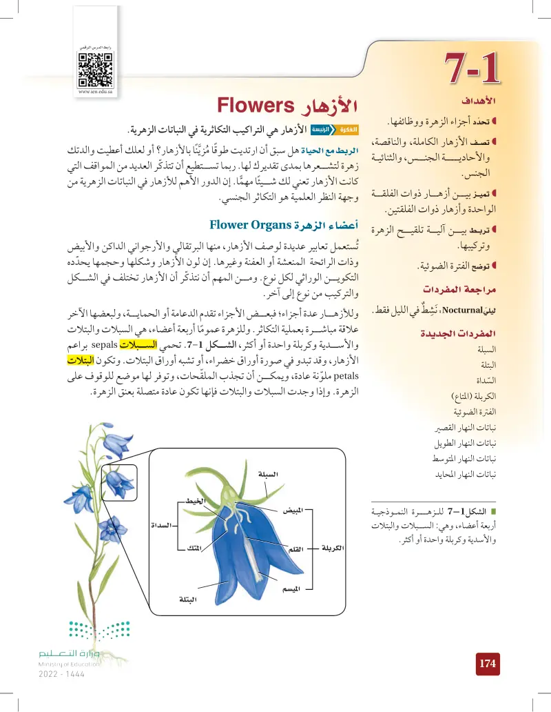 7-1 الأزهار