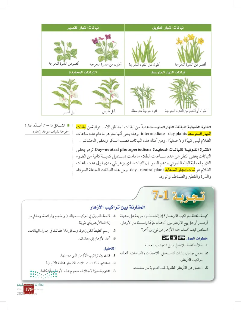 7-1 الأزهار