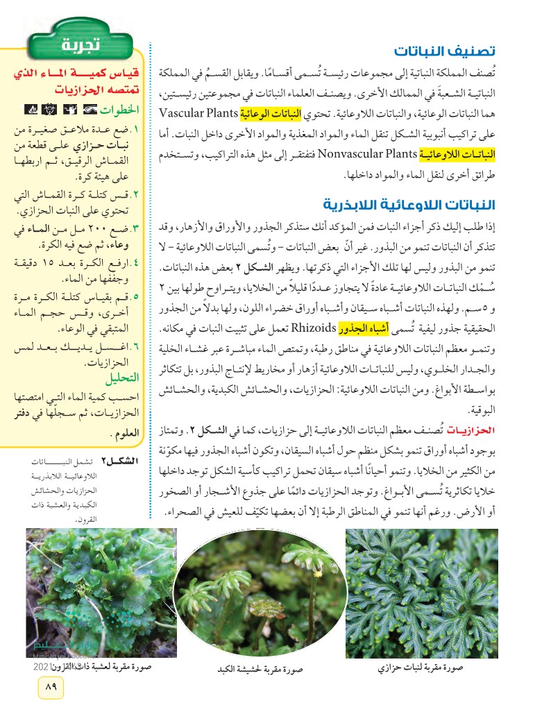 الدرس1 النباتات اللابذرية
