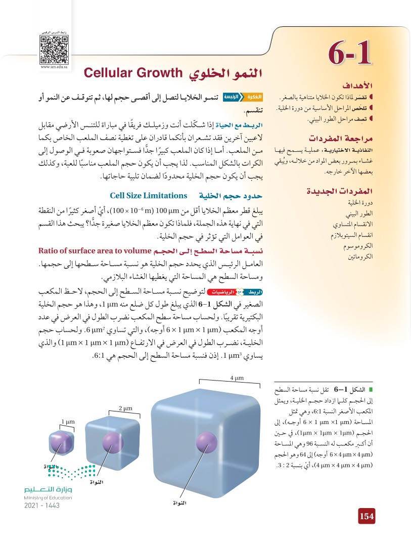 بناء على نسبة مساحة السطج إلى الحجم ماذا تمثل مساحة سطح الخلية