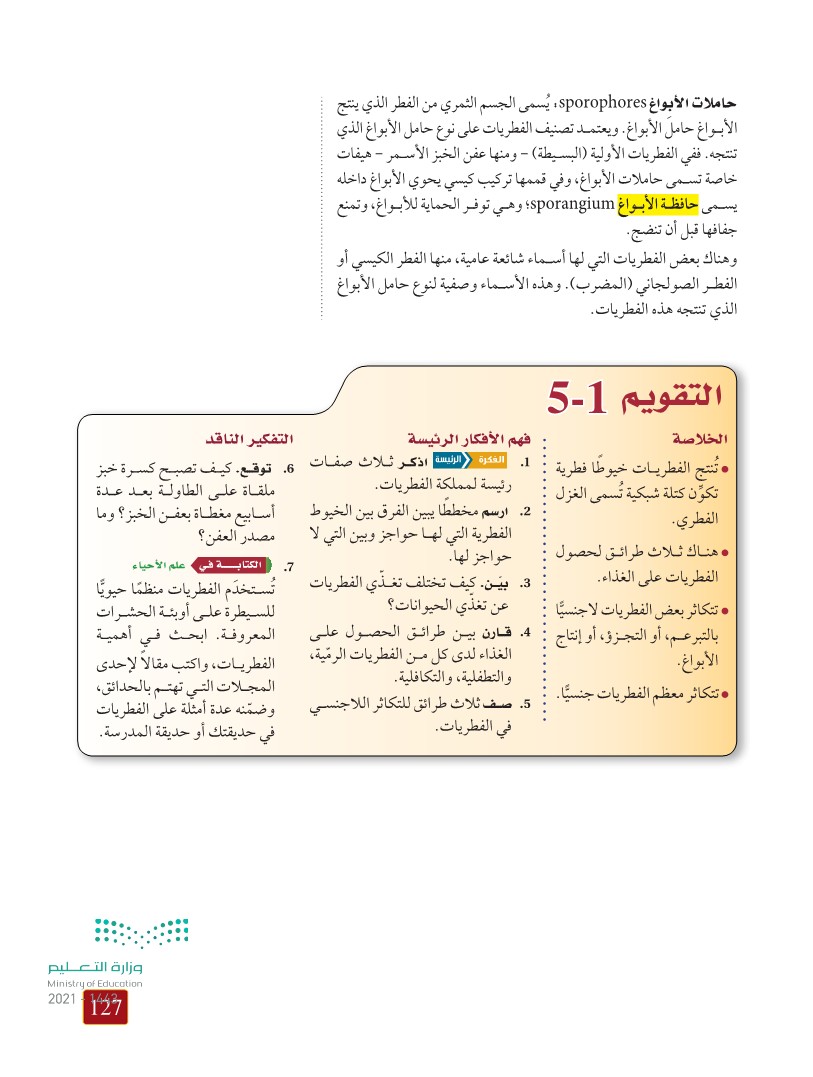 والديدان أمثلة الفطريات من الفطريات والديدان