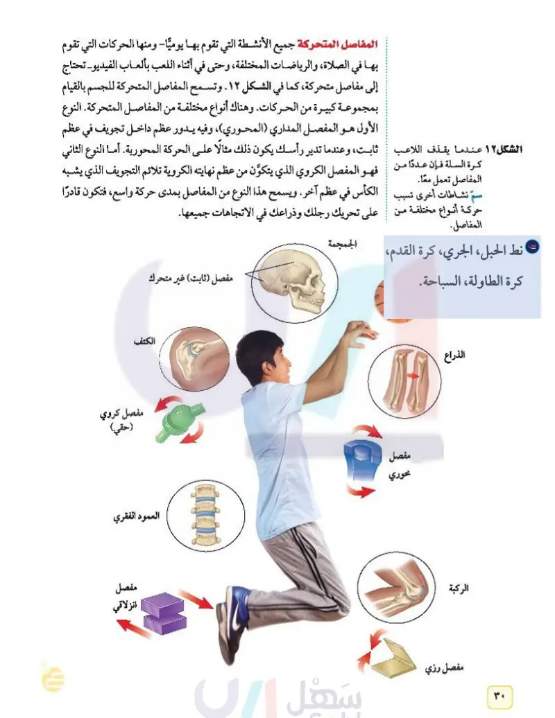 الدرس2: الجهاز الهيكلي والجهاز العصبي