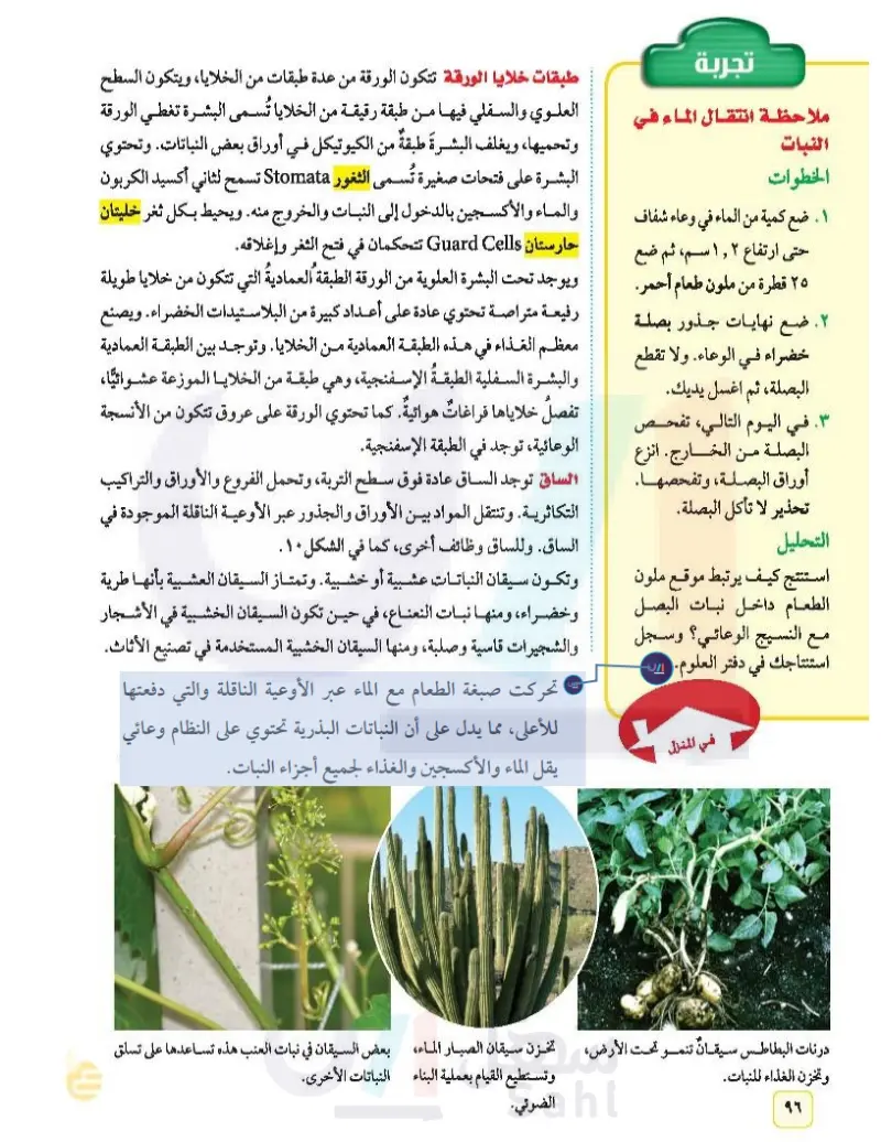 الدرس2: النباتات البذرية