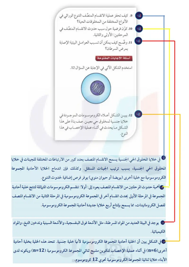 تقويم الفصل