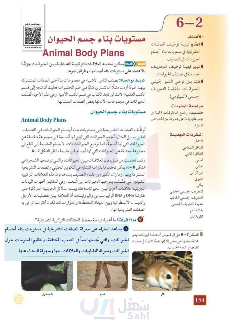 6-2 مستويات بناء جسم الحيوان