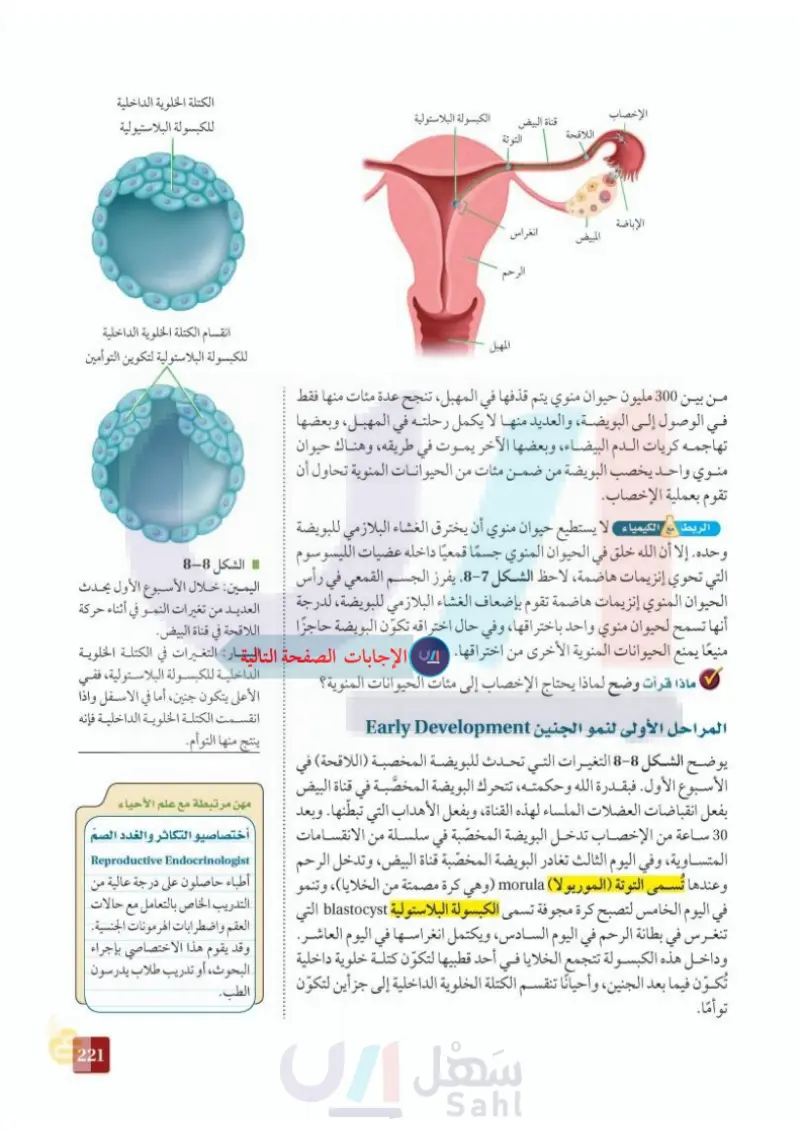 2ـ5 مراحل نمو الجنين قبل الولادة