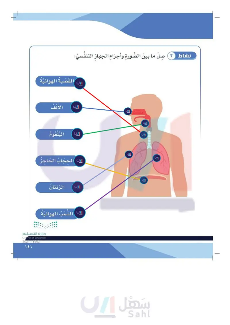 الدرس الأول: الجهاز التنفسي