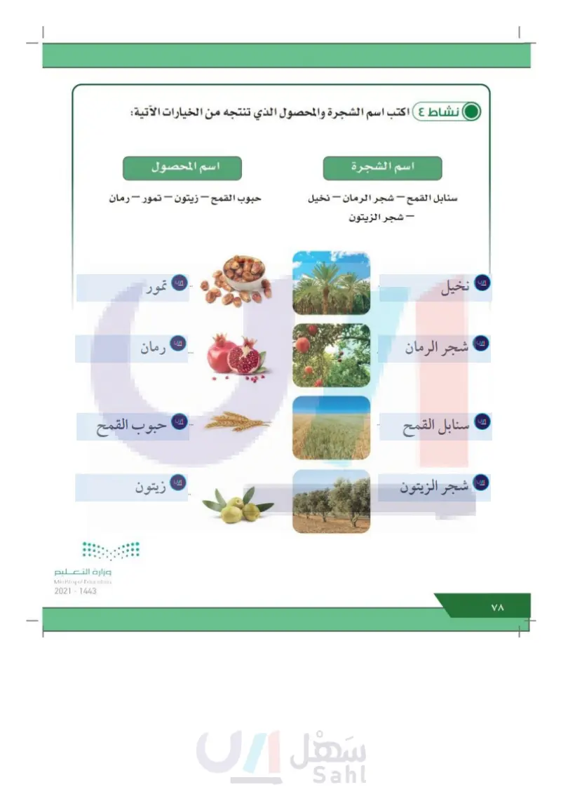 الدرس الثالث: المحاصيل الزراعية في المملكة العربية السعودية