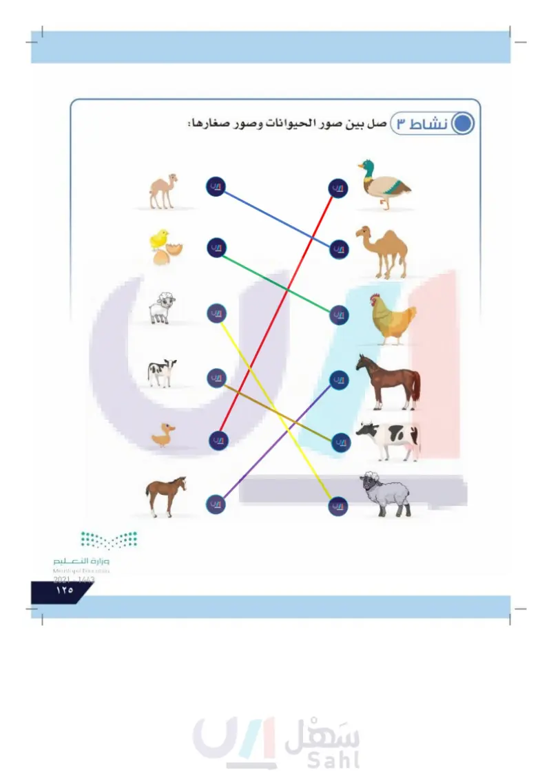 الدرس الثالث: دورة حياة الحيوانات